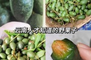 苏州橄榄树生物科技怎么样_产品功效真实吗