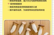 杏鲍菇起源_杏鲍菇历史大全
