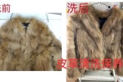 皮草艺术如何保养_皮草艺术价格贵吗