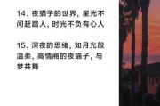 夜幕下的生活文案怎么写_如何打动夜猫子