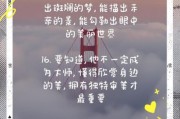艺术情怀是什么_如何写出打动人心的艺术文案