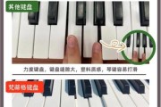初学者如何选钢琴_钢琴选购避坑指南