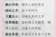 成语艺术文案怎么写_成语营销文案技巧