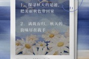 秋天文案怎么写_生活碎片如何记录