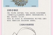 艺术河豚是什么_艺术河豚有毒吗