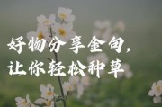 生活好物治愈文案怎么写_有哪些治愈系好物推荐