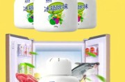 冰箱除味用什么好_活性炭和咖啡渣哪个更有效