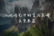 生活鸡毛怎么写文案_生活鸡毛文案怎么写吸引人