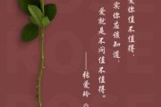 玫瑰艺术文案怎么写_玫瑰文案如何打动人心