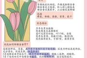 郁金香怎么养_郁金香花语是什么