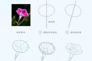 零基础如何自学画画_没有美术基础能学插画吗