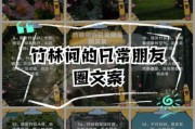 竹林文案生活怎么写_竹林文案生活有哪些灵感