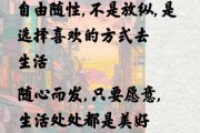 如何过上自由随性的生活_美好生活文案怎么写