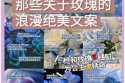 rose艺术文案怎么写_rose艺术文案有哪些经典句式