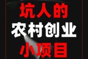 农村小科技产品招商怎么做_适合乡镇的小本创业项目
