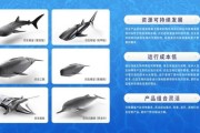 海洋科技产品有哪些_海洋科技产品如何分类