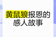 历史故事大全报恩_有哪些感人典故