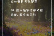 花房艺术文案怎么写_花房文案有哪些高级表达