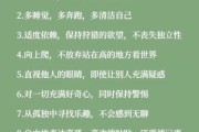 如何摆脱内耗_生活状态文案符号