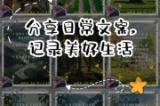 如何记录生活日常_记录生活的互动文案怎么写