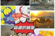 螃蟹艺术是什么_螃蟹艺术怎么欣赏