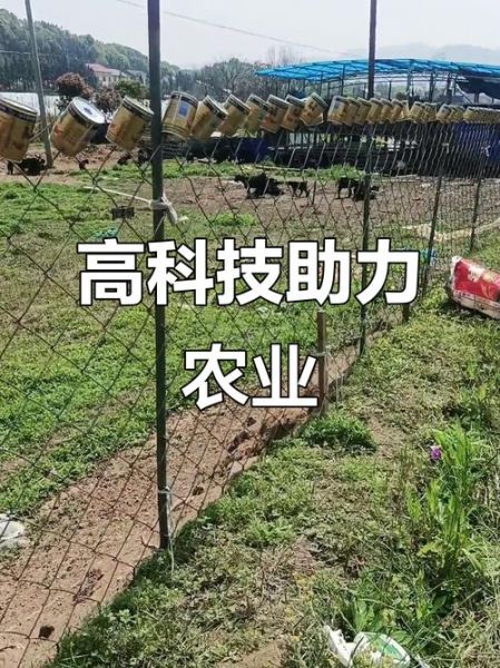 农民致富的高科技产品有哪些_怎么用