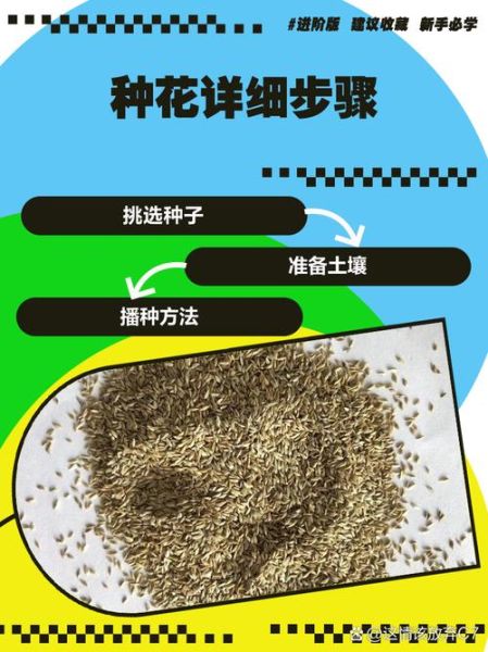 种花艺术怎么入门_新手种花艺术常见问题