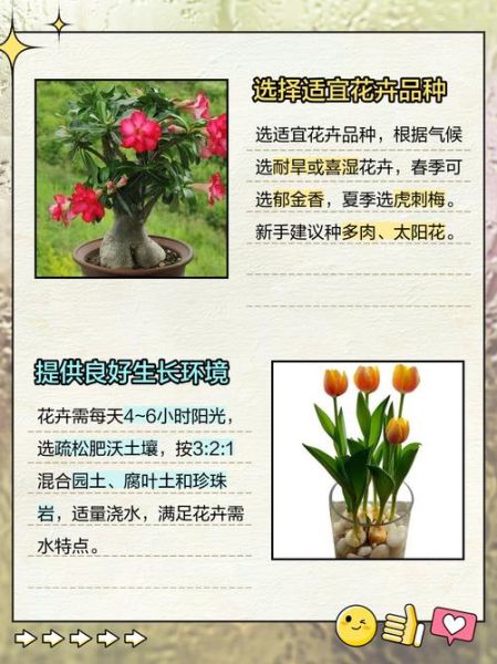 种花艺术怎么入门_新手种花艺术常见问题