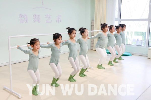 舞蹈艺术教育哪家好_舞蹈艺术教育怎么选