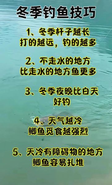 钓鱼怎么钓才能爆护_钓鱼生活文案搞笑