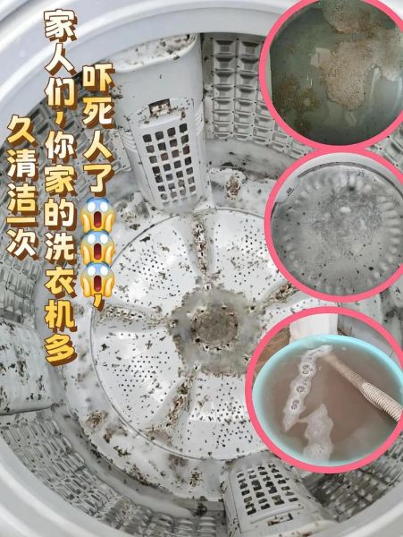 洗衣机怎么清洗_洗衣机多久清洗一次