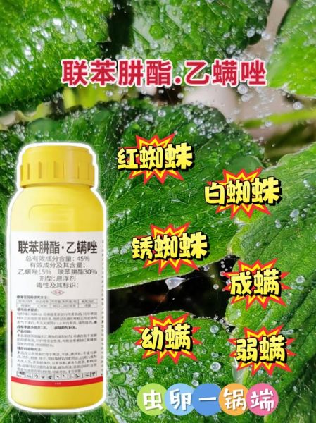 乙连生物科技产品怎么样_乙连生物科技产品有哪些