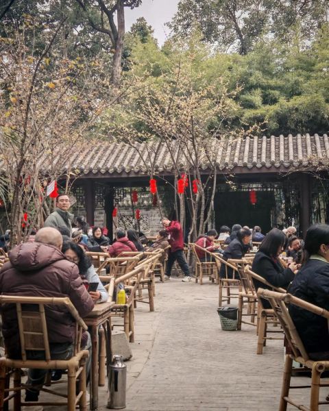 公园生活的好处有哪些_如何在城市公园享受慢生活