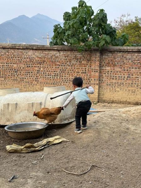 乡村生活怎么过_乡村生活有哪些趣事