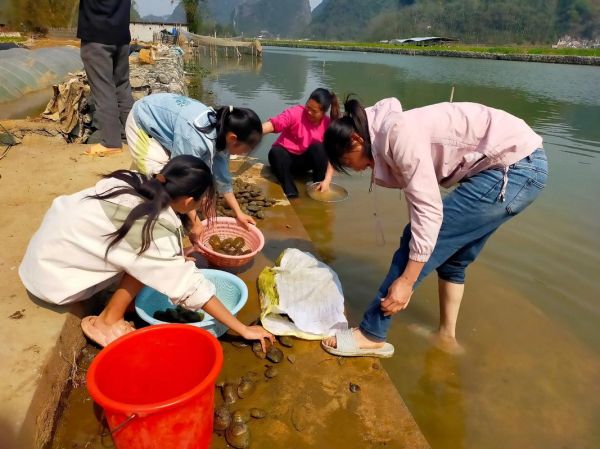 乡村生活怎么过_乡村生活有哪些趣事