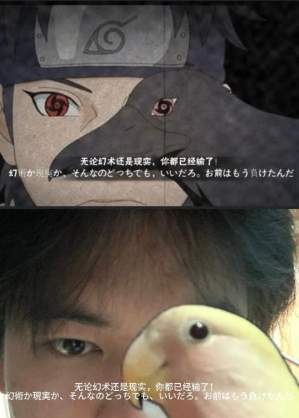 火影忍者经典台词有哪些_如何应用到现实生活