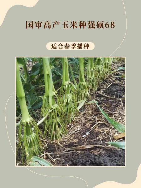 农硕科技产品怎么样_农硕科技产品有哪些