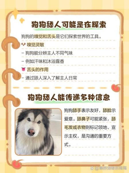 狗狗为什么总是舔人_如何纠正狗狗舔手习惯