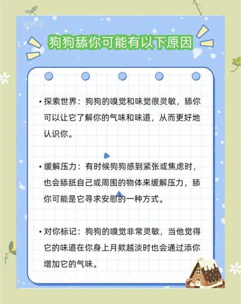 狗狗为什么总是舔人_如何纠正狗狗舔手习惯