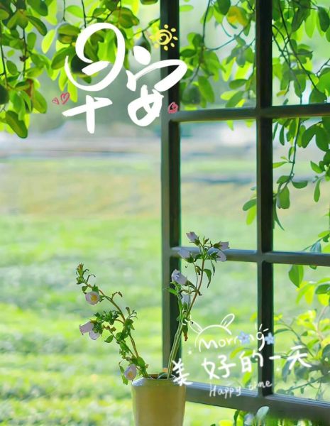 简单生活的美好_如何开始