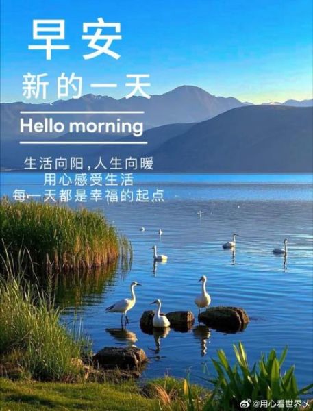 早上好怎么发朋友圈_早安文案怎么写才走心
