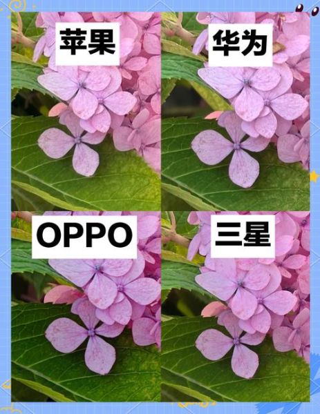 苹果和三星哪个好_华为和苹果三星区别在哪