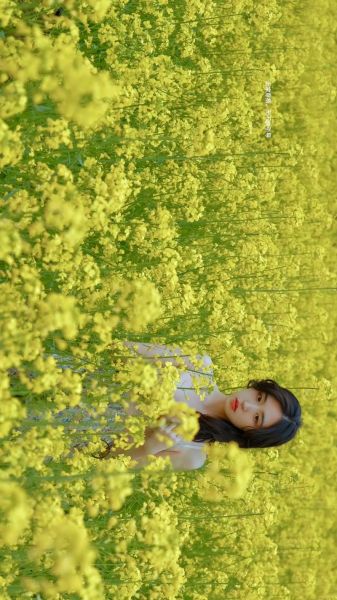 油菜花什么时候开_油菜花拍照穿什么颜色衣服