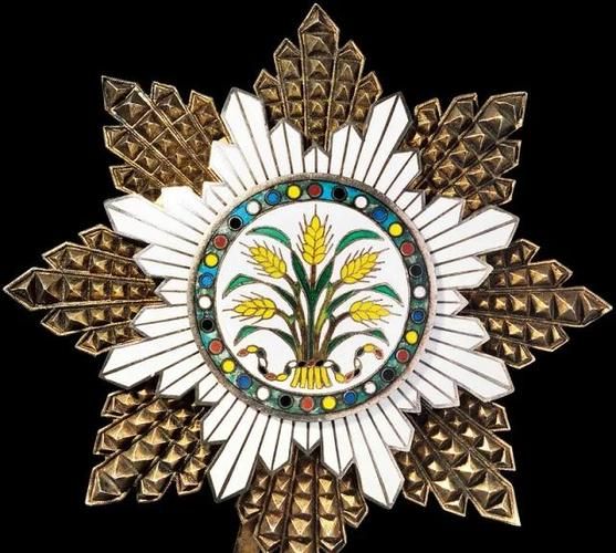 勋章历史大全_勋章起源与演变