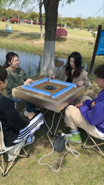 美国麻将AI训练器_值得买吗