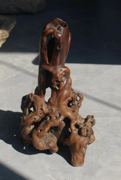 根艺艺术是什么_根雕和木雕的区别