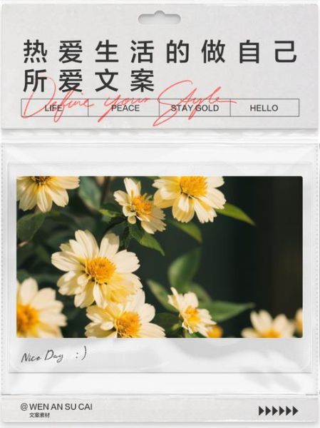 爱生活爱自己文案怎么写_如何打动人心