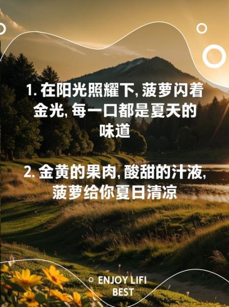 创意艺术菠萝文案怎么写_菠萝创意文案有哪些灵感来源