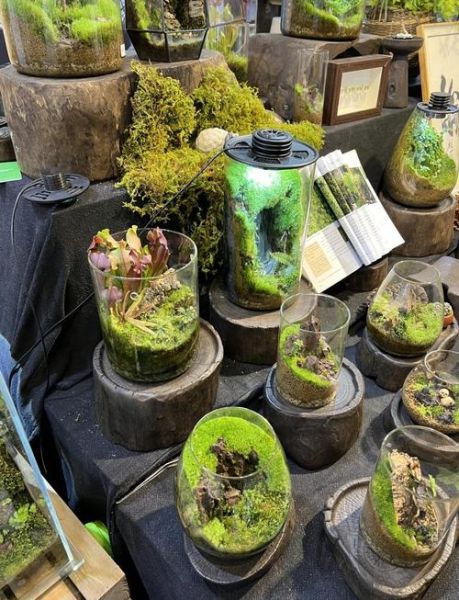 艺术与自然如何融合_自然元素在艺术创作中的应用