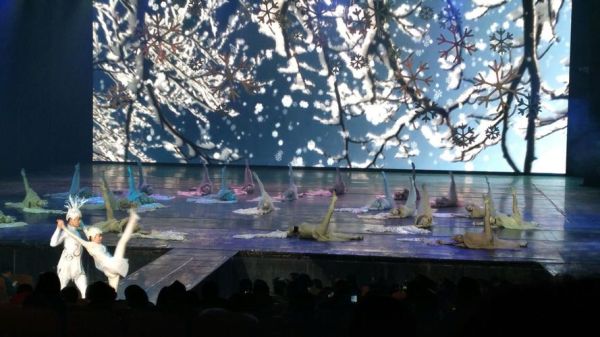 徽韵艺术是什么_徽韵艺术课程多少钱